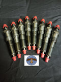 Moose Buddy Injectors for Ford 6.9 or 7.3 IDI SET OF 8