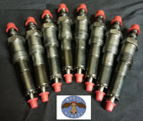 The Grand Plan Injector Kit Ford 6.9/7.3 IDI $799.99