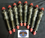 The Grand Plan Injector Kit Ford 6.9/7.3 IDI $799.99